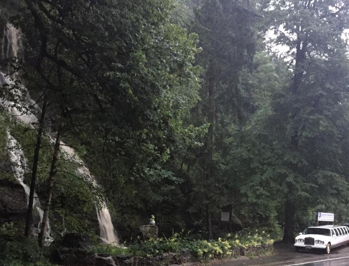 Koenigreich Romkerhall Schulenberg im Oberharz Exterior foto